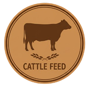 Cattle Feed