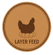 Layer Feed