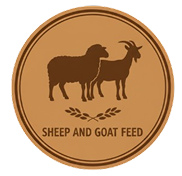 Sheep and Goat Feed